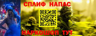 шишки Апшеронск