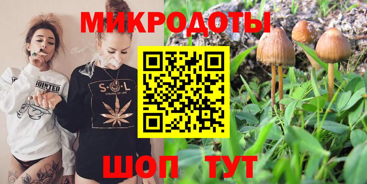 Псилоцибиновые грибы мицелий Белореченск